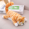 Roll Laugh Out Plush Cat Toy