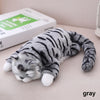 Roll Laugh Out Plush Cat Toy